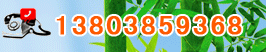 電話:13803859368